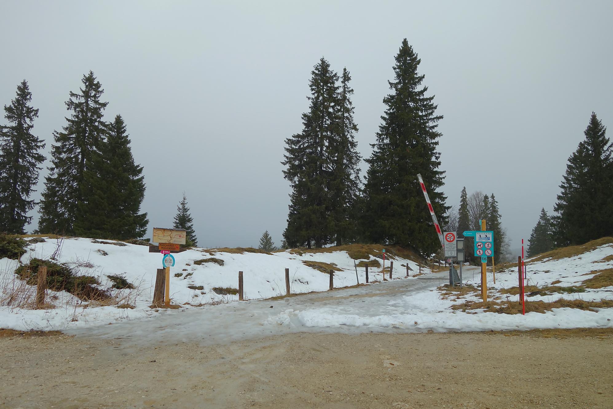 Randonnée au Grand Croset Dessus depuis le Col du Marchairuz. Retour