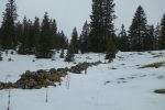 Fort peu de neige