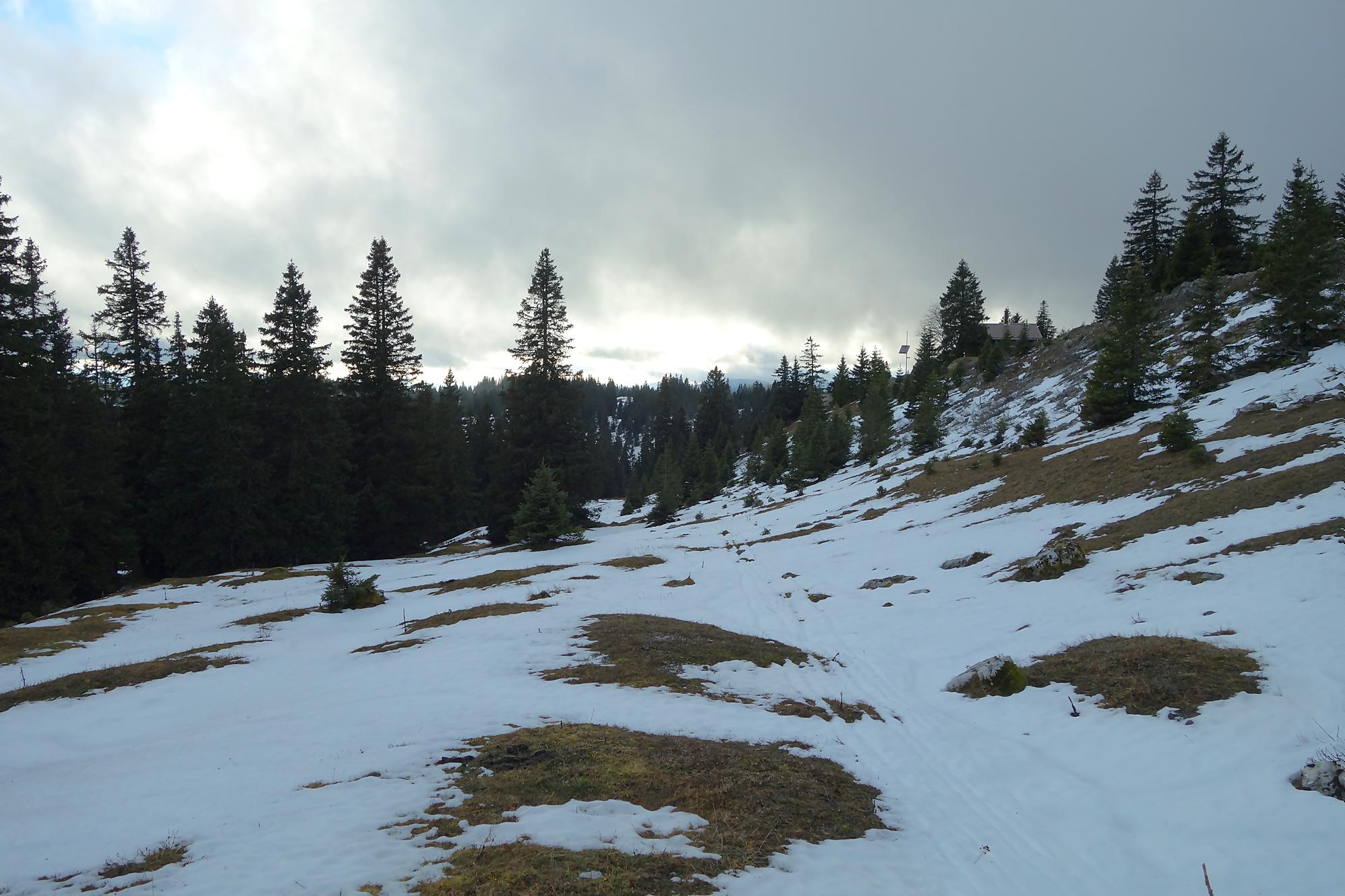 Randonnée au Grand Croset Dessus depuis le Col du Marchairuz. Retour