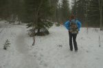 Nous quittons le chemin pour traverser le Bois du Marchairuz