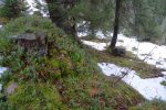 Fort peu de neige