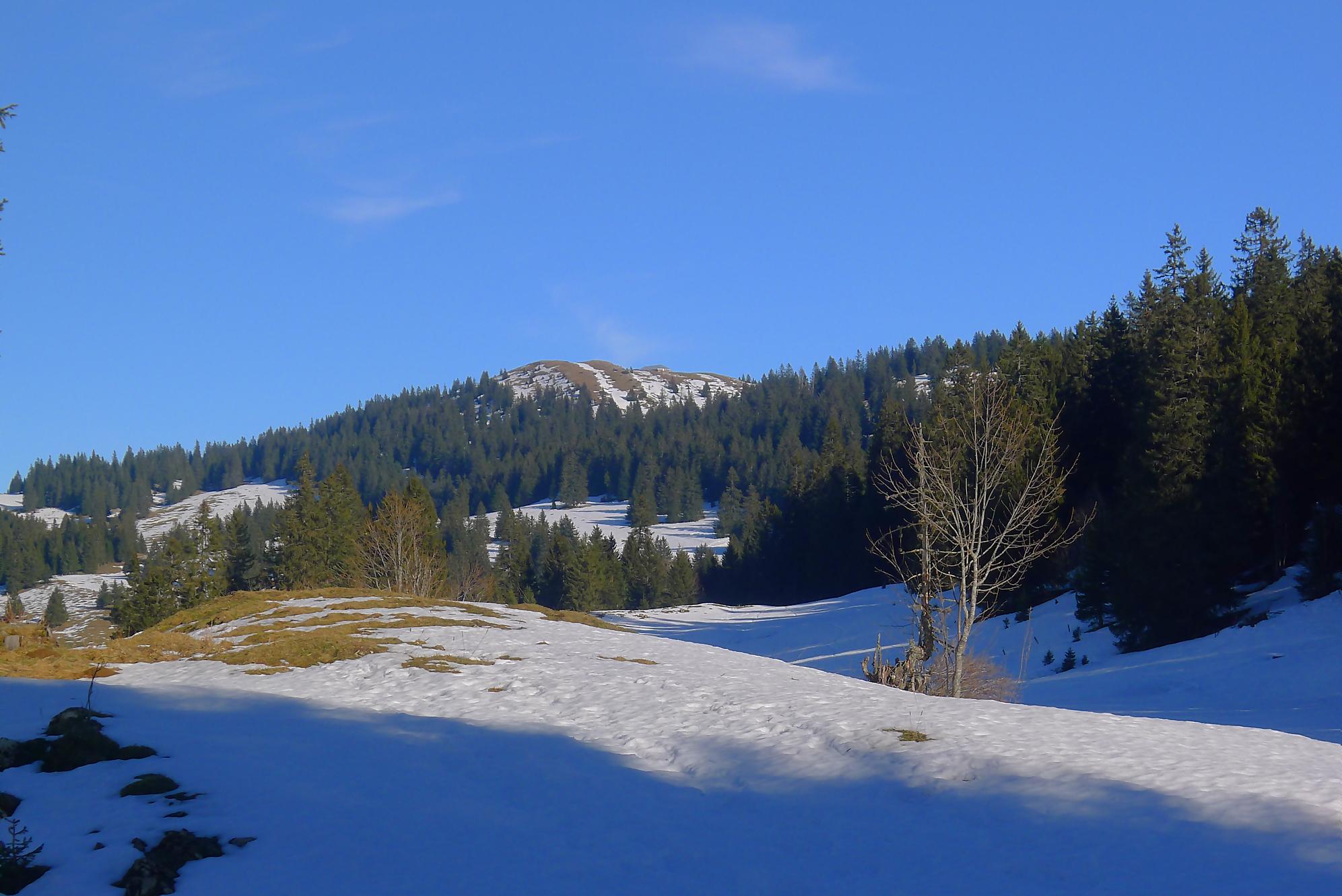 Randonnée au Grand Cunay depuis Fontaine Froide du Col du Mollendruz