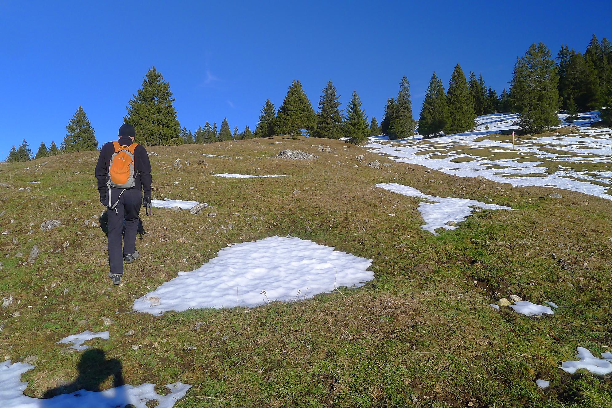 Randonnée au Grand Cunay depuis Fontaine Froide du Col du Mollendruz