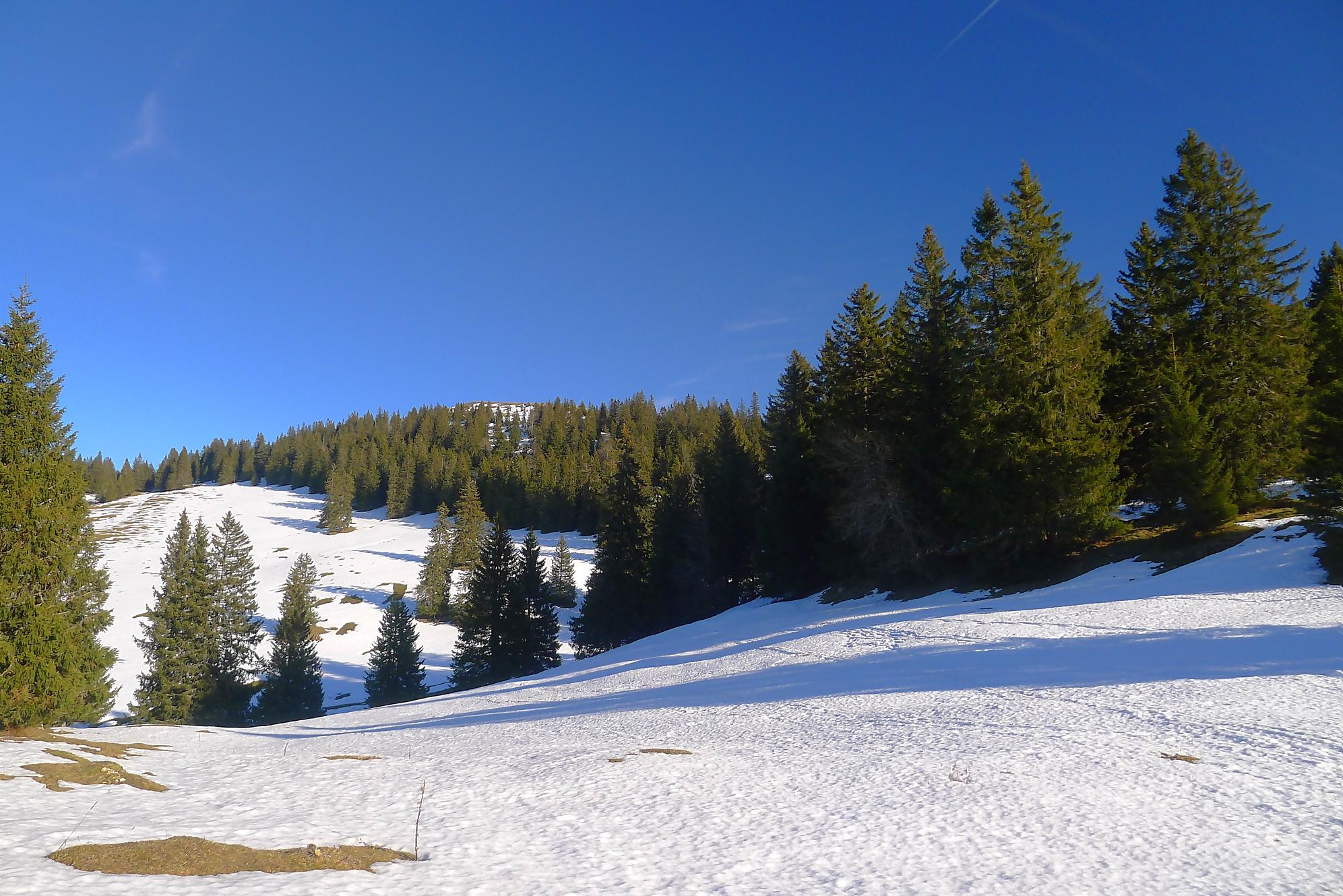 Randonnée au Grand Cunay depuis Fontaine Froide du Col du Mollendruz