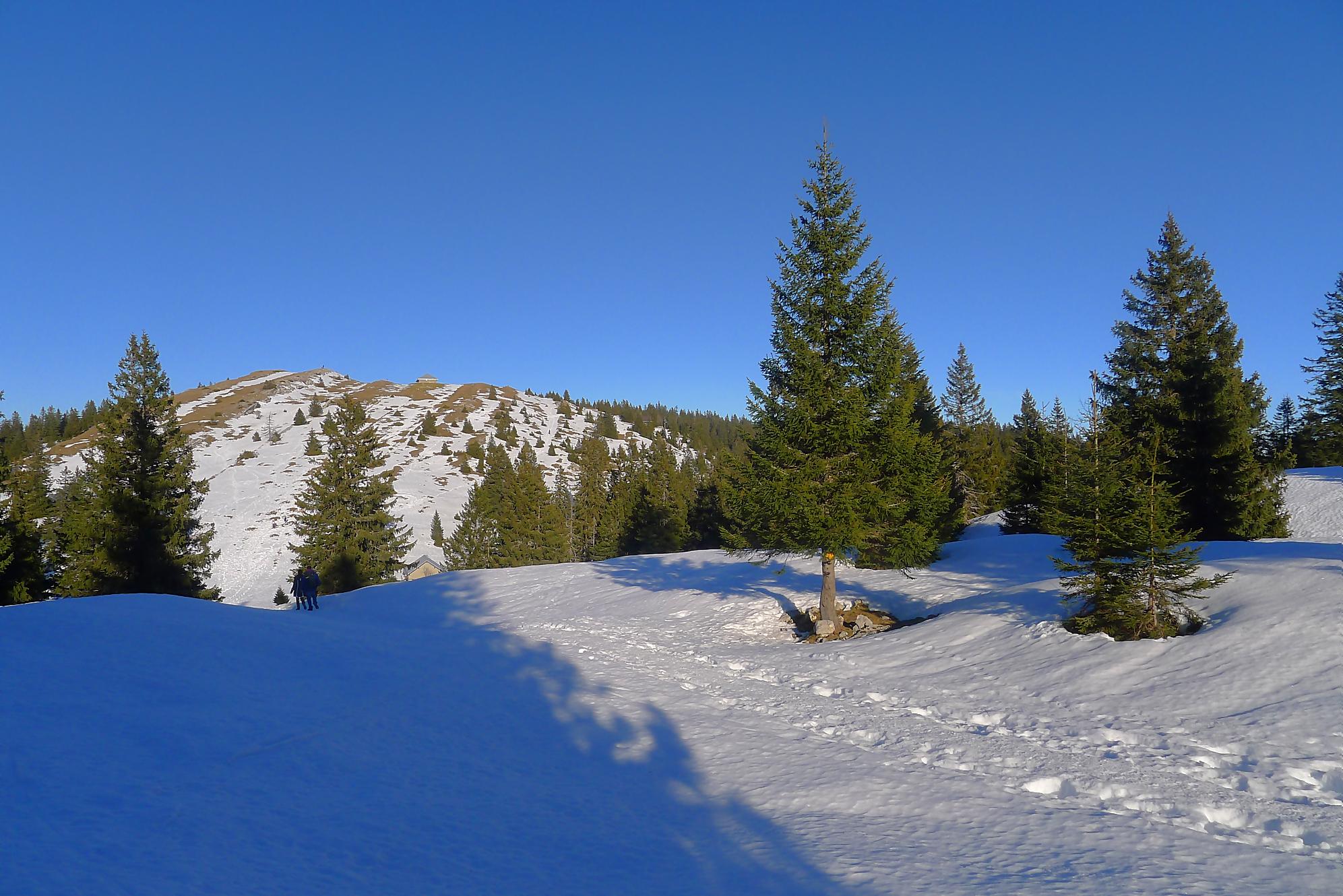 Randonnée au Grand Cunay depuis Fontaine Froide du Col du Mollendruz