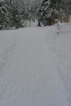 Rentrée en forêt