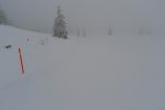 Piste de ski de fond, heureux de trouver ces piquets