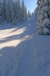 Après la ferme, je trace puis retrouve une piste