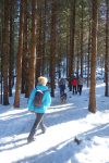 En forêt