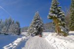 On remonte tranquillement la piste de luge, route en été