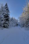Combe de la Neige.