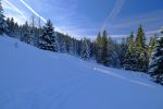 On traverse une forêt