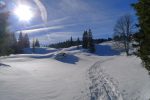 Retour au soleil