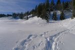Devant la ferme Le Risel, à droite pour la cabane Le Rizel
