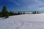 On sort de la forêt