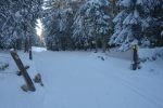 Nous longeons la piste de ski de fond