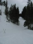 Départ derrière l'entrée du téléphérique du col du Pillon (1589m), on remonte la piste de ski de fond.