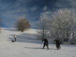 Et on repart pour monter au Lauchenkopf