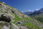 Le chemin est charmant et la vue aussi. Par encore réussi à déterminer quel est le Combin au fond !