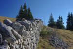 Et nous passons un joli muret en pierres sèches qui font la beauté du Jura