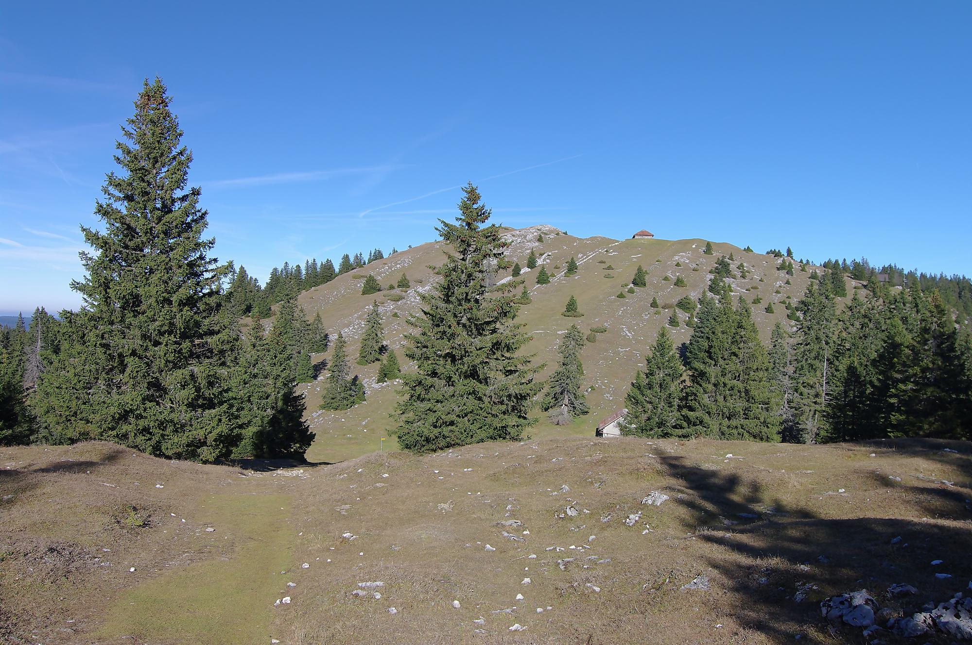 Randonnée au Mont-Tendre depuis le col du Marchairuz et les cabanes de