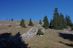 On arrive à ce P1602.5 culminant Les Combes. Il faut descendre dans cette forêt