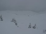 Je me fais une frayeur en coupant ces pentes, après un instant de jour blanc, j'ai la neige qui se dérobe sous mes skis, début d'avalanche dans une belle pente. Grosse frayeur et je m'empresse de trouver refuge à coté d'un sapin.