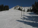 On monte au début par la piste de descente de ski de fond, nous coupons comme ici au plus court, pour nos premières conversions
