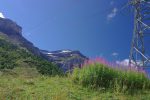 Notre chemin va être sous les câbles du téléphériques avec de nombreux épilobes.