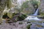 Tine de Conflens.