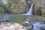 Tine de Conflens.