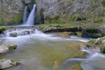 Tine de Conflens.