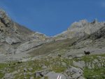 Le lendemain, nous au glacier de Prapio, dans les rochers du centre. Il y a des moutons dans la combe de Letchiau