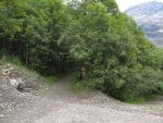 Départ depuis la fin de la route forestière autorisée, à Creux de Champ 1320m. Depuis les Diablerets, il faut prendre la route du col de la Croix et tourner à gauche dans le virage vers Le Jorat.