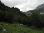 Après la buvette, on travers les paturages pour entrer dans la forêt, le chemin est raviné dans ce début mais rien de bien compliqué.