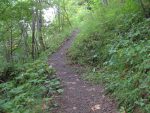 Puis le chemin monte sérieusement à travers cette forêt. Avec tout le matériel glaciaire dans le sac, on adopte le rythme adéquant et régulier. C'est la partie la plus raide du parcours.