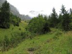 Et nous sortons de la forêt, au niveau de Prapio, la pente s'adoucit !