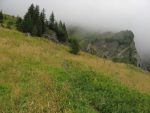 La brume arrive, le chemin monte régulièrement en zig zag.