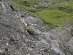 Le ruisseau, devenu torrent par la pluie ... qu'il faut traverser !
