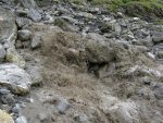 Le chemin officiel est ici : avec le poid du matériel dans le sac et la grosse eau j'hésite longtemps avant de sauter.