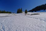 Après un long arrêt, nous repartons, direction La Racine, combe à gauche