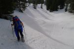 Dans la forêt Les Combes