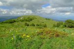 Les fleurs subliment les lieux. Vue arrière