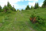 On suit cette route de 4x4