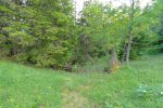 Le chemin fait un coude et doit s'enfoncer dans cette forêt. Je le cherche, même au GPS, en vain