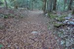 Le chemin est même façonné