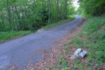 J'arrive au niveau de la route (Grandes Route Forestière), Pt843, la descente pourrait se poursuivre tout droit, mais je pars à gauche pour le Pt850
