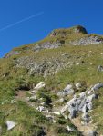Le chemin monte dans la face S, montée raide