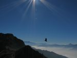 Je jouais avec le soleil lorsqu'un choccard est passé. Le sommet des Rochers de Naye