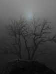 Presque lugubre ! Le soleil à travers le stratus